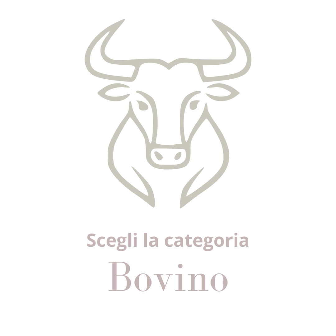 Bovino
