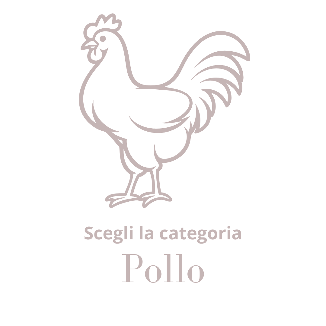 Pollo