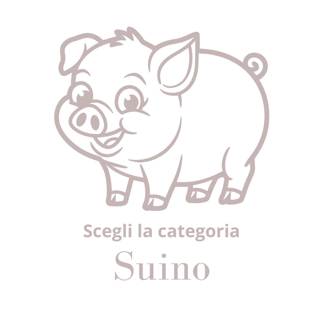 Suino